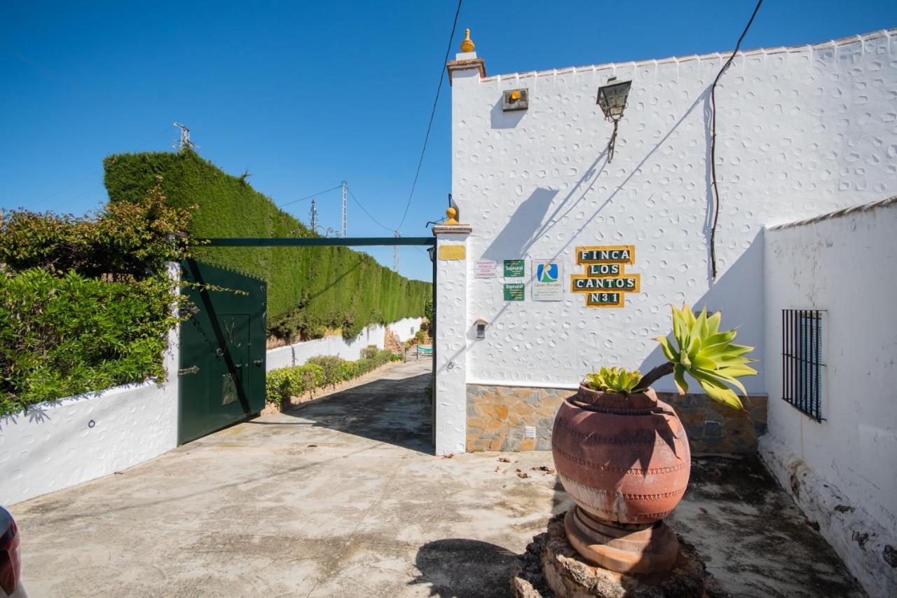 Tu Villa Rural Cortijo Los Cantos 7 Dormitorios Piscina Privada Альхаурин-эль-Гранде Экстерьер фото