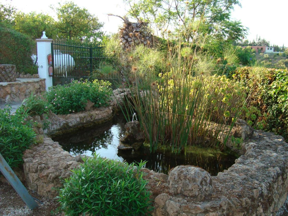 Tu Villa Rural Cortijo Los Cantos 7 Dormitorios Piscina Privada Альхаурин-эль-Гранде Экстерьер фото